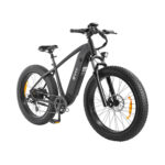 Bicicletta elettrica da montagna DYU King750